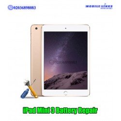 iPad Mini 3 A1600 Battery Repair